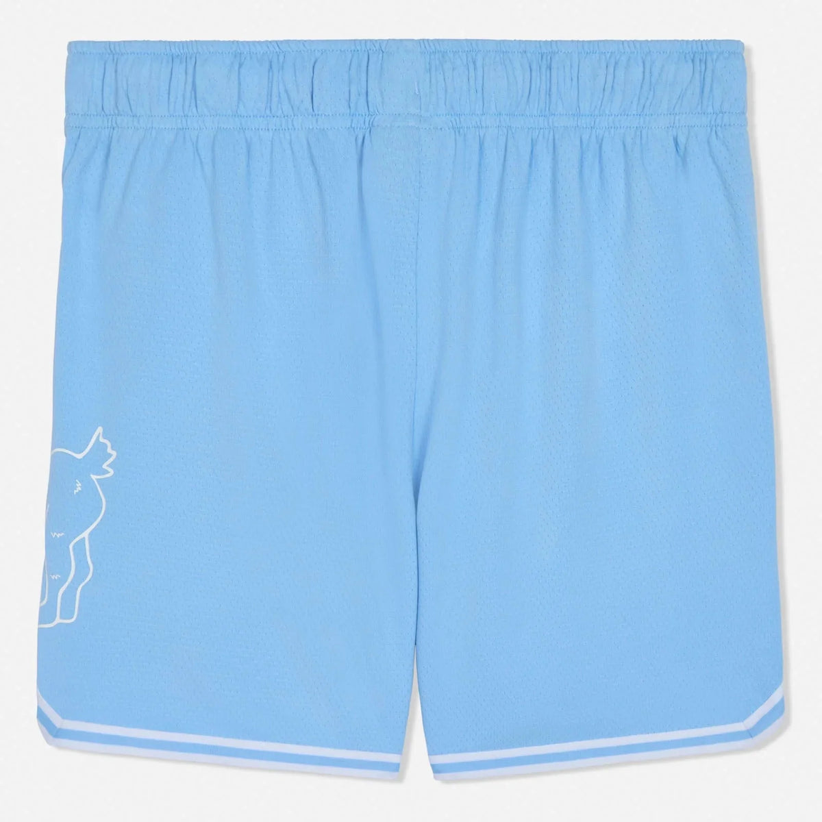 GOAT USA Big GOAT Mesh Shorts - Navy/Carolina Blue
