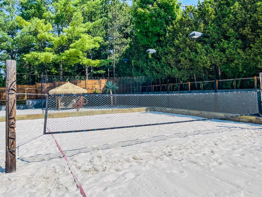 Super Ultra-Light Portable Competition Net